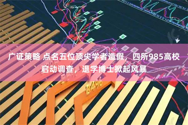 广证策略 点名五位顶尖学者造假，四所985高校启动调查，退学博士掀起风暴
